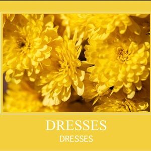 DRESSES 🌼